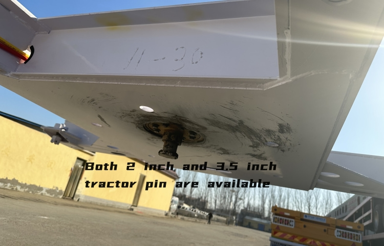 2 Axle Multi Function Gooseneck Container Skeletal Trailer for Sale in Mauritius