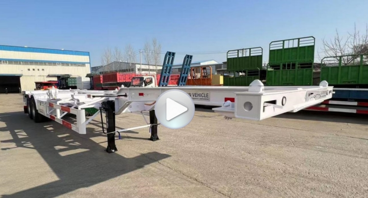 2 Axle Multi Function Gooseneck Container Skeletal Trailer for Sale in Mauritius